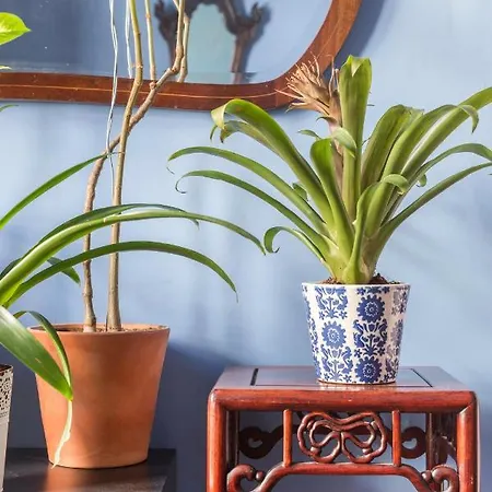 Charming In A 19th Century Building *