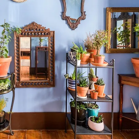 Charming In A 19th Century Building * Lizbona